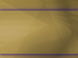 直营管理优化指南：持续改进的方法